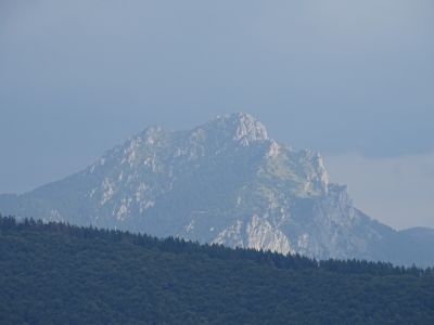 DSC09417.JPG
