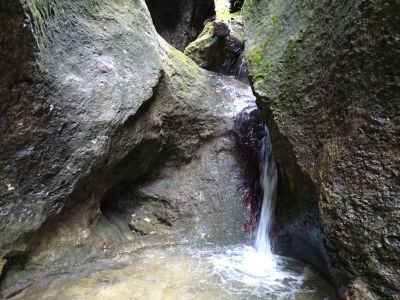 DSC09485-Nove-Diery.JPG