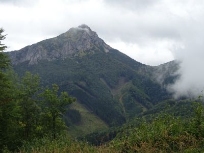 DSC09783.JPG
