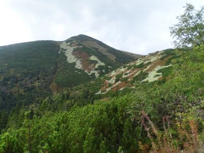 DSC09837.JPG