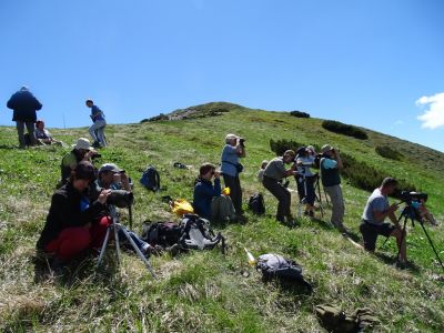 3.6. – 10.6. 2017 Ornithologische Naturreise im Nationalpark Mala Fatra und Orava