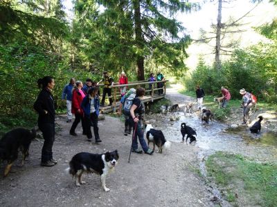30.9. – 7.10. 2017 Hundewanderung im NP Mala Fatra und Orava-Region