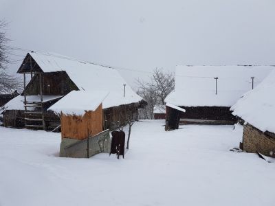 20180216_102648-Kycerka.jpg