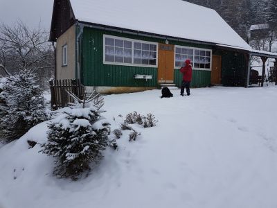 20180216_111350_001-Smrekovci.jpg