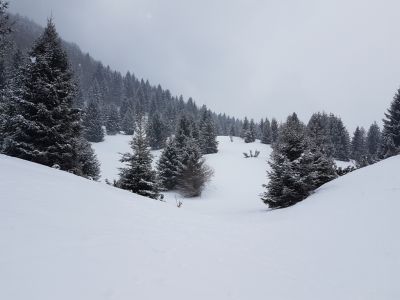 20180216_115034.jpg