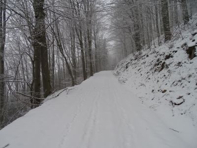 DSC01157.JPG