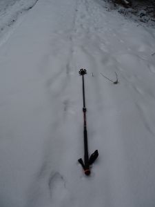 DSC01177-Schnürren-vom-Wolf.JPG