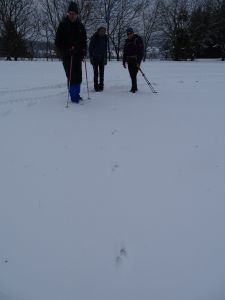DSC01179-Marderspur.JPG