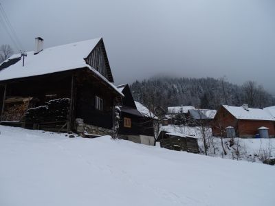 DSC01217.JPG