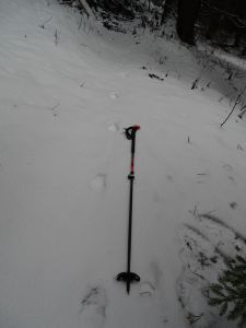 DSC01218-Schnürren-vom-Wolf.JPG
