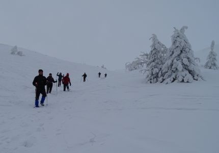 DSC01270.JPG