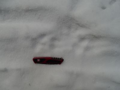 DSC01500-zugeschneite-Wolfsspur.JPG