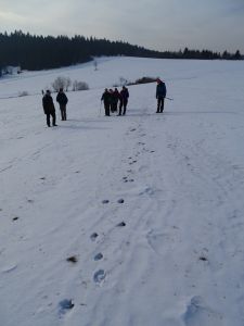 DSC01828-frische-Wolfsspur.JPG