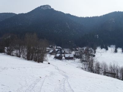DSC01872-Podrozsutec.JPG