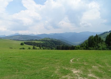 DSC03554.JPG
