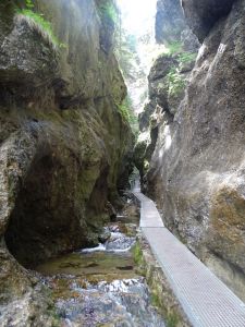 DSC03626-Dolne-Diery.JPG