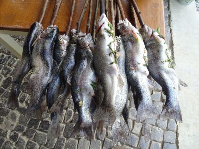 DSC03671-Forelle-a-la-Vlado.JPG