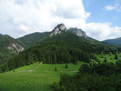 DSC03985.JPG