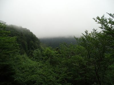 DSC04397.JPG