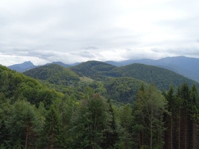 DSC06434.JPG