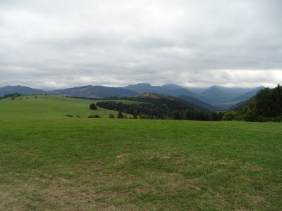 DSC06455.JPG