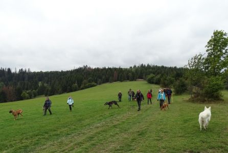 DSC06457.JPG