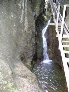 DSC06830-Nove-diery.JPG
