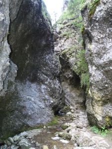 DSC06833-Nove-diery.JPG