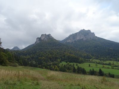 DSC06871.JPG