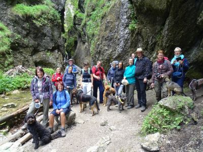 30.6. – 7.7. 2018 Hundewanderung im Nationalpark Mala Fatra und Orava