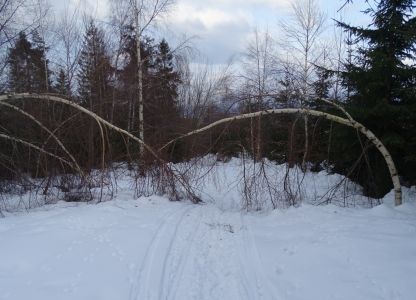 DSC07388.JPG