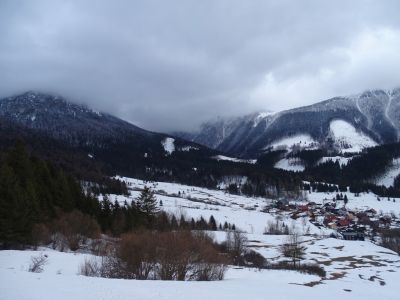 DSC07445.JPG