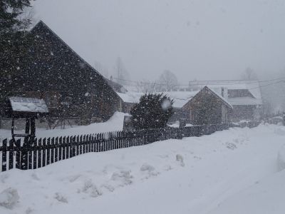 DSC07480.JPG