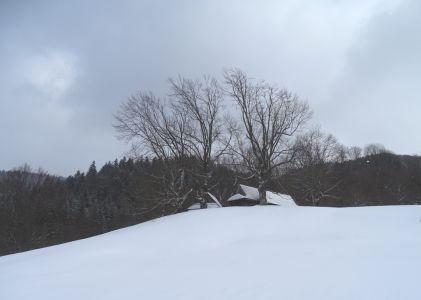 DSC07486.JPG