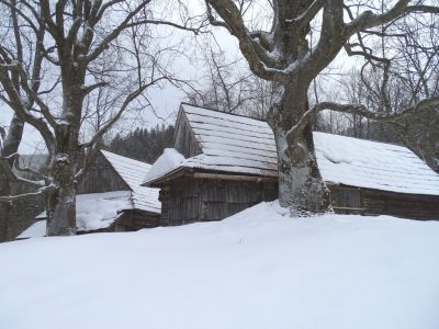 DSC07487-Weiler-Rogonovci.JPG