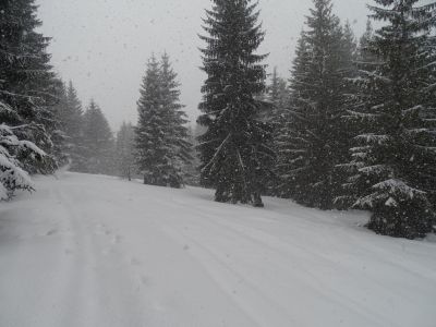 DSC07506.JPG
