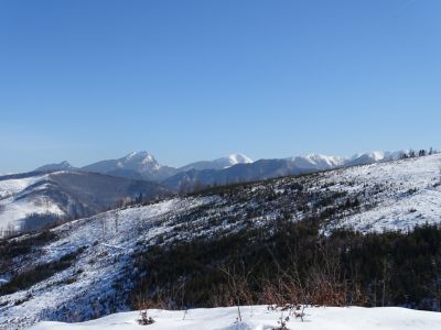 DSC07789.JPG