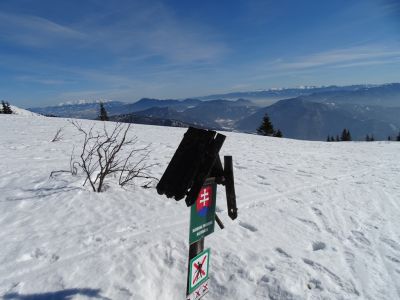 DSC07850.JPG
