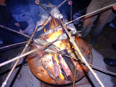 DSC07883-Forelle-A-la-Vlado.JPG
