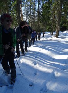 DSC07910-Gruppe-an-der-Wolfsspur.JPG