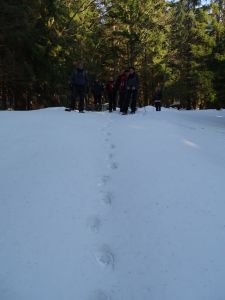 DSC07947-Gruppe-an-der-Wolfsspur.JPG