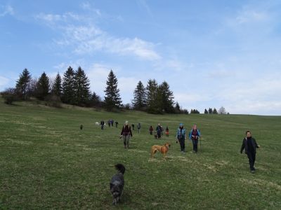 DSC09261.JPG