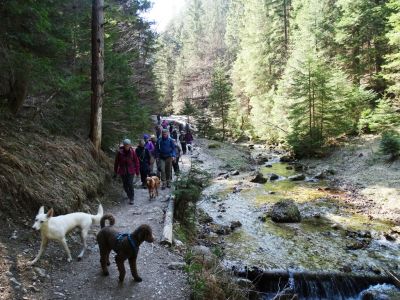 DSC09297-Dolne-diery.JPG