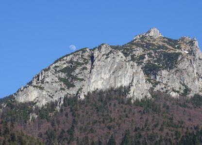 DSC09346.JPG