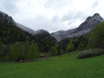 DSC09705.JPG