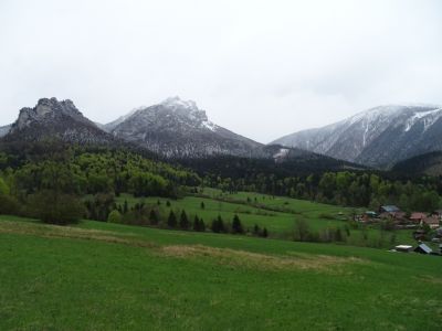DSC09777-Stefanova-weiss-grün.JPG