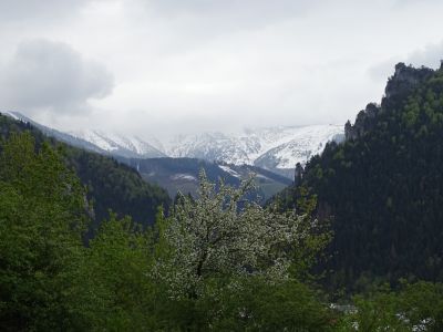 DSC09799.JPG