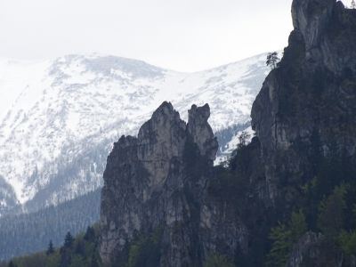 DSC09802-das-Dromedar.JPG
