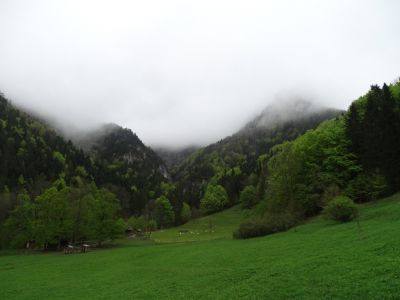 DSC00108.JPG