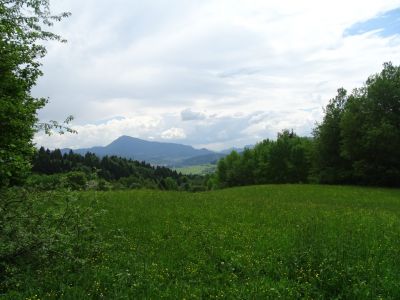 DSC00885.JPG